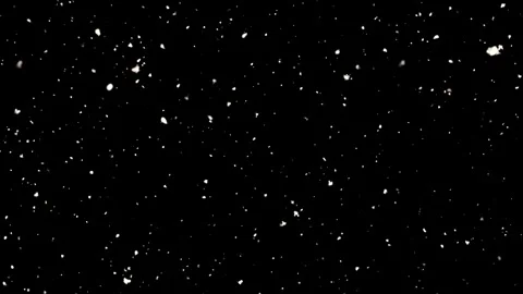 Realistic heavy snowfall with large flakes drifting slowly down Stock Footage 327567843