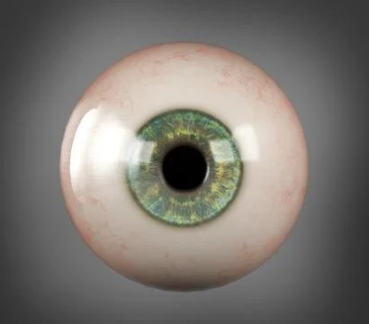 Realistic human eyeball blue iris pupil Stock Illustration