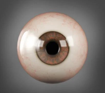 Realistic human eyeball brown iris pupil Stock Illustration