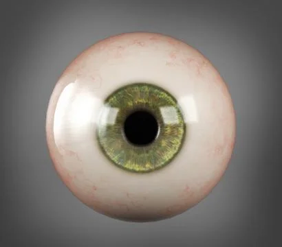 Realistic human eyeball green iris pupil Stock Illustration