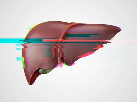 Realistic human liver glitch effect Stock Illustration