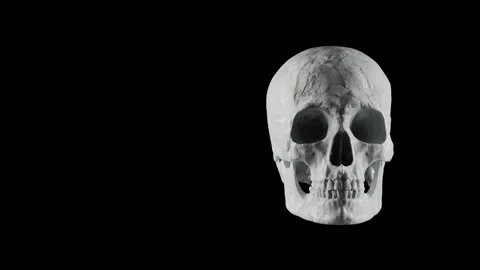 Realistic Human Skull Rotating Loop - Natural Bone Color 3D Rendering on Black Stock Footage 340223256