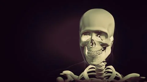 Realistic human skull structure animation Stock Illustration
