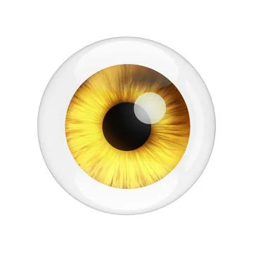 Realistic Human Yellow Eye with Reflections. 3d Rendering Stock-Illustration