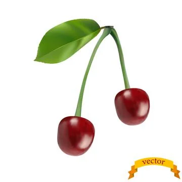 Realistic image of a cherry with a leaf. Stock Illustration