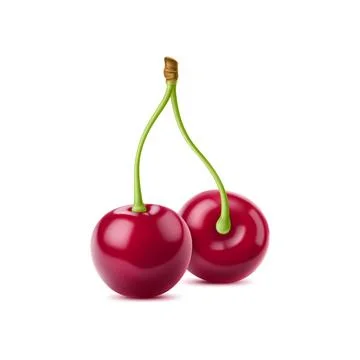 Realistic isolated ripe raw cherry berry pair Stock Illustration