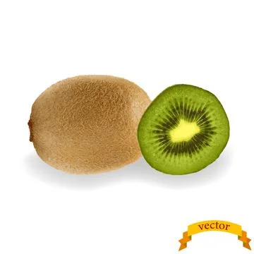Realistic kiwi with slice. Vector image Stock Illustration