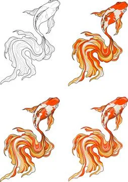 Realistic koi fish four different ways. Colorful vector illustration. Illustrazione stock