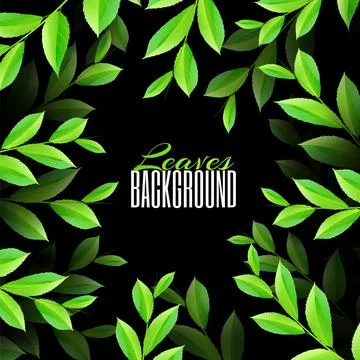 Realistic Leaf in a circle. Spring or summer. Overgrown tree branches with fr Stock Illustration