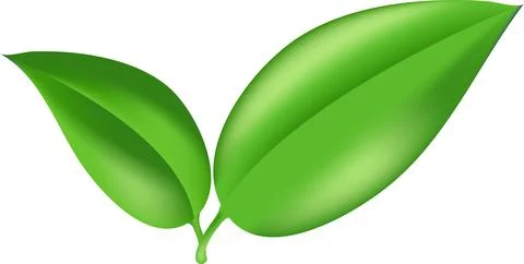Realistic leaf image. Herb summer sign. for interior, gardening, holiday. E.. Stock Illustration