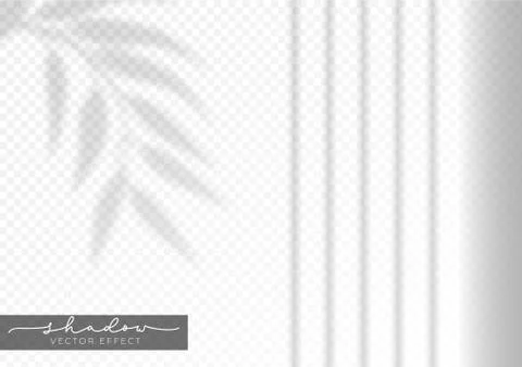 Realistic leaf shadow effect on transparent background Stock Illustration