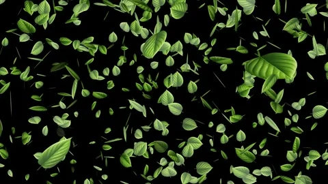 Realistic Leaves Falling Motion Graphic Overlay Stock Footage 315991432