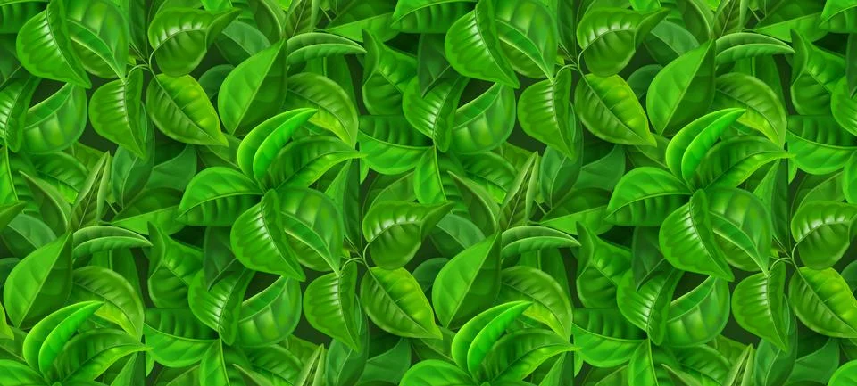 Realistic leaves pattern. Seamless print with green spring foliage, mint and 스톡 일러스트