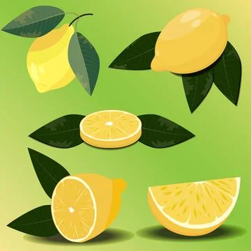 Realistic lemon in different angles on a green background. Vector set Stock Illustration