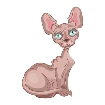 Realistic light sphinx cat sitting on a white background - Vector Stock Illustration