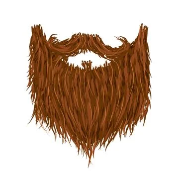 Realistic long brown beard on white Stock Illustration