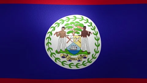 Realistic looping animation of the Belizean flag with a detailed fabric texture Stock Footage 345758970
