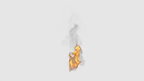 Realistic Looping Fire 2 Speeds - Transparent Background Alpha Channel 4K 30p Stock Footage 346491881
