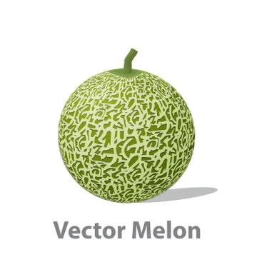 Realistic melon ball isolated on white Stock Illustration
