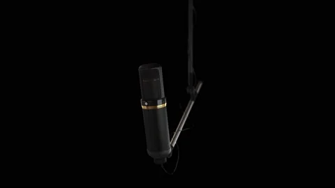 Realistic Microphone 4K animation Stock Footage 171052871