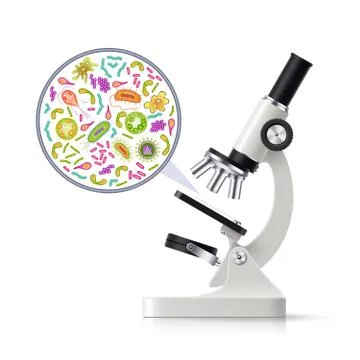 .Realistic Microscope With Magnified Specimen Image Stock Illustration