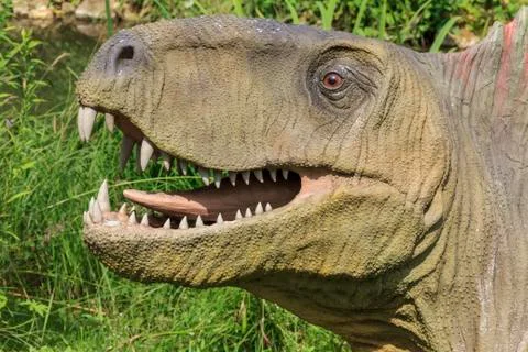 Realistic model of dinosaur's head Stock Photos