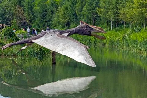 Realistic model of pteranodon Stock Photos