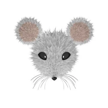 Realistic Mouse Head. Fur Effect Stock Illustration