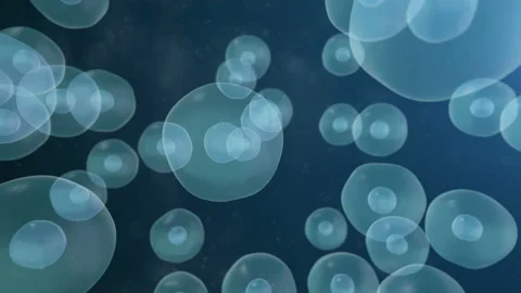 Realistic moving cell, bacteria or virus under microscope. Stock Footage 89265313