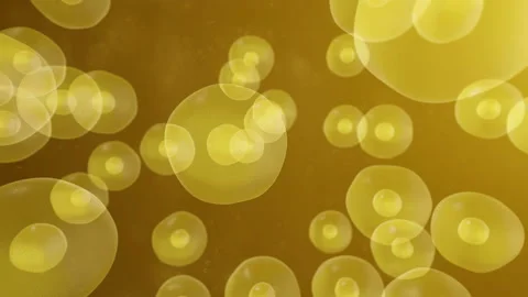Realistic moving cell, bacteria or virus under microscope. Stock Footage 89265326