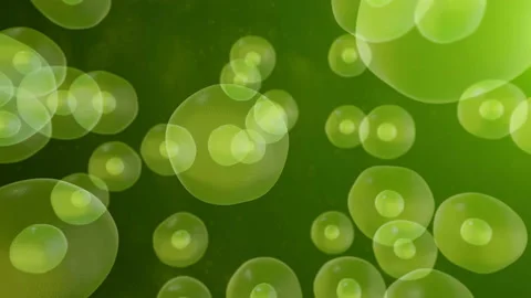 Realistic moving cell, bacteria or virus under microscope. Stock Footage 89265466