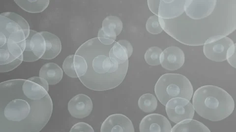 Realistic moving cell, bacteria or virus under microscope. Stock Footage 89265590