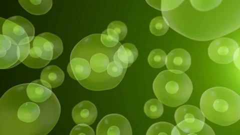 Realistic moving cell, bacteria or virus under microscope. Stock Footage 89265795