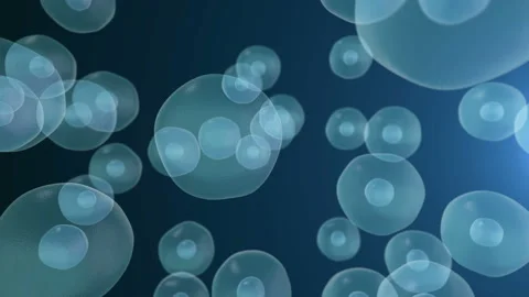 Realistic moving cell, bacteria or virus under microscope. Stock Footage 89265799