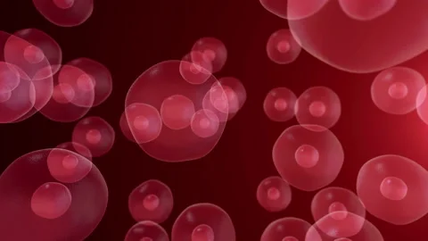 Realistic moving cell, bacteria or virus under microscope. Stock Footage 89265903