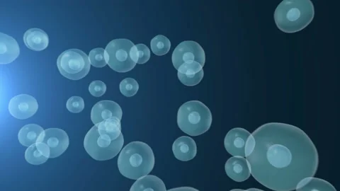 Realistic moving cell, bacteria or virus under microscope. Stock Footage 89266094