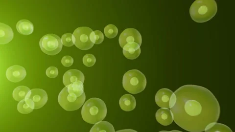 Realistic moving cell, bacteria or virus under microscope. Stock Footage 89266173