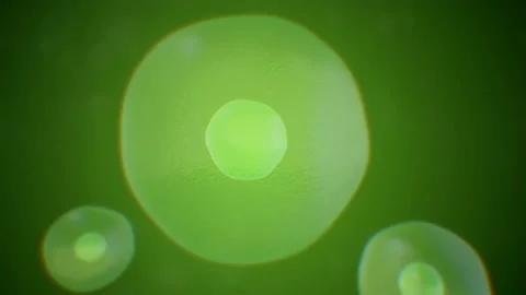 Realistic moving cell, bacteria or virus under microscope. Stock Footage 89266961