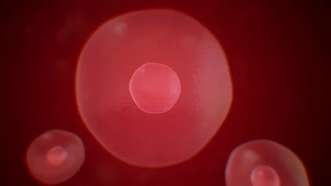 Realistic moving cell, bacteria or virus under microscope. Stock Footage 89267025