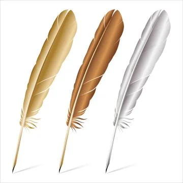 Realistic of multicolored feathers on a white background イラスト素材