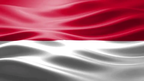Realistic National Flag Waving Seamless Loop Video Background. Stock Footage 345915768