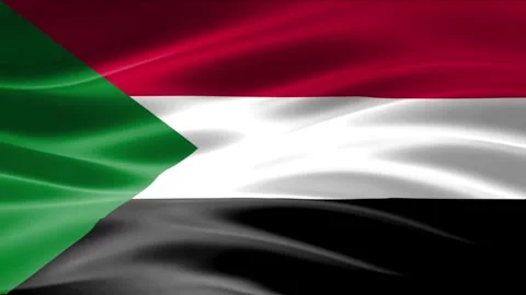 Realistic National Flag Waving Seamless Loop Video Background. Stock Footage 345917855