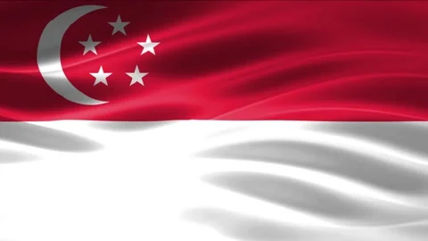 Realistic National Flag Waving Seamless Loop Video Background. Stock Footage 345917873