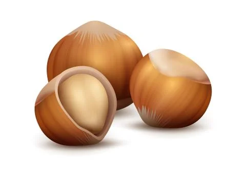 Realistic nuts. Forest plant seed for branding. 3D hazelnut on white background Stock Illustration