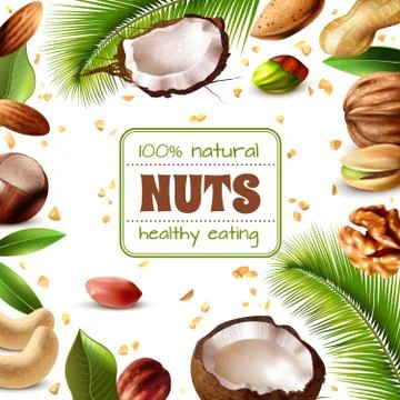 Realistic Nuts Frame Stock Illustration