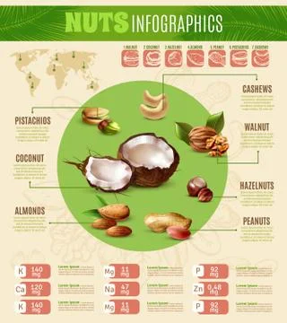 Realistic Nuts Infographics イラスト素材