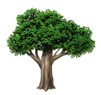 Realistic old large oak tree in vector Stock Illustration