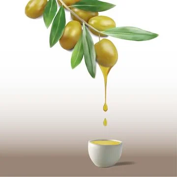 A realistic olive branch with fruit and leaves Stock Illustration