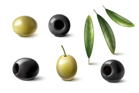 Realistic olive oil elements イラスト素材