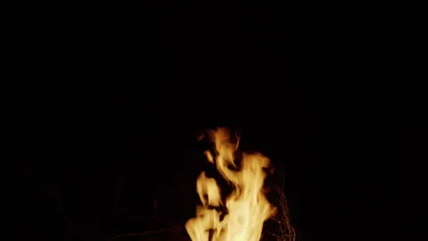 Realistic orange fire flames burning on a black background Stock Footage 341483406